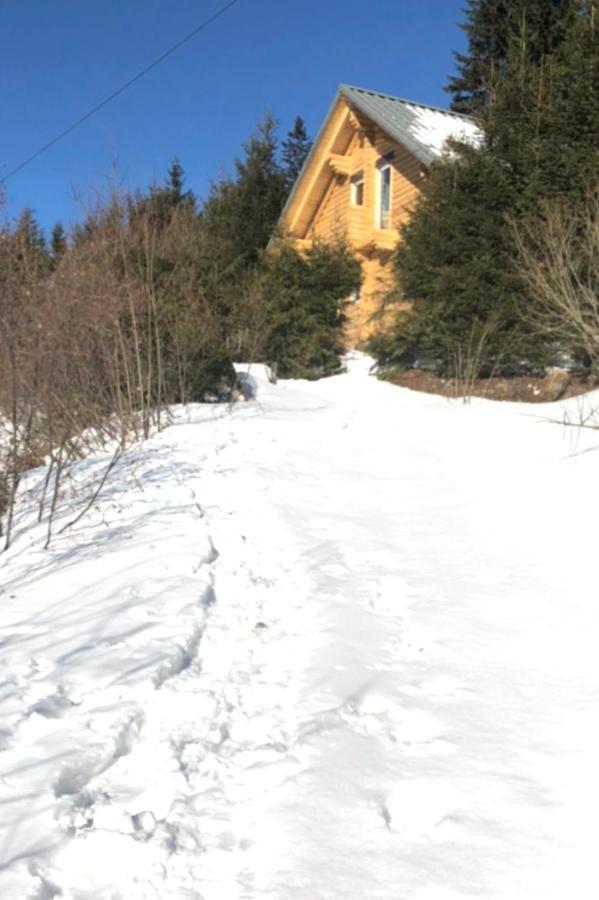 Alpenchalet Grabner Alm Am Praebichl Almhauser Екстер'єр фото