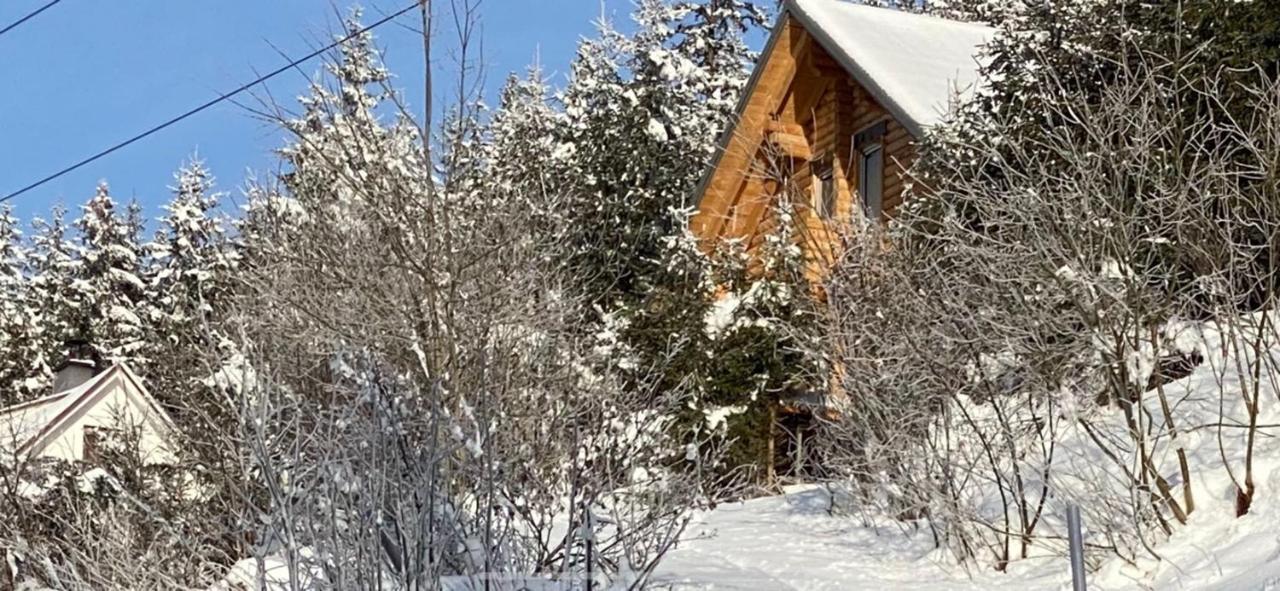 Alpenchalet Grabner Alm Am Praebichl Almhauser Екстер'єр фото