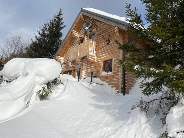 Alpenchalet Grabner Alm Am Praebichl Almhauser Екстер'єр фото